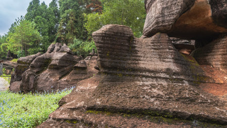 Amazing karst rock formations. Red-brown bizarre boulders with wavy uneven surface. Green grass, wildflowers in the meadow, trees. China. Red Stone Forest National Geopark. Hunanの写真素材