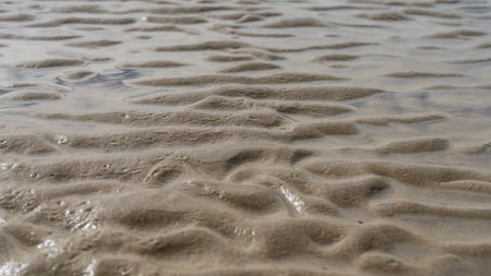The surface of the seabed exposed at low tide. Pools of water between the bizarre undulating sandy...