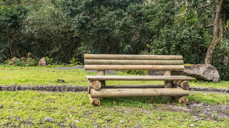 Unpainted wooden log bench on a green lawn. Behind- thickets of tropical vegetation, boulders. Mauritius.の写真素材