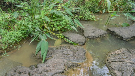 A pedestrian path made of stone sections with uneven outlines runs along the pond. Green grass...