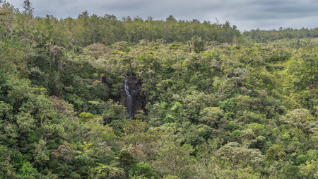 Impenetrable thickets of tropical jungle. A waterfall is visible among the green foliage of the trees. Streams flow down from a sheer cliff. Mauritius. Alexandra Fallsの写真素材