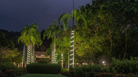 Tropical resort park in the evening. Rows of royal palm trees along the alley. The trunks are...
