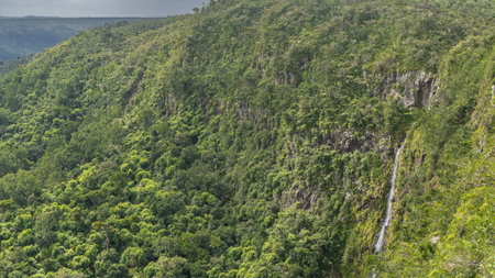 The waterfall flows down a steep mountain slope. Tickets of green vegetation around. Mauritius....