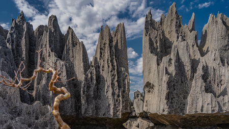 Unique karst rocks against a blue sky and clouds. Steep gray furrowed slopes, sharp spiny peaks. In...