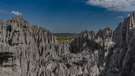 Unique karst rocks. Steep gray furrowed slopes, sharp spiny peaks. The valley is visible in the...