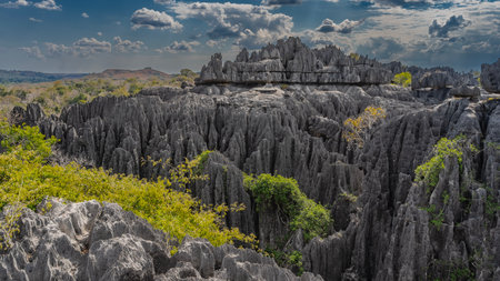 The famous unique karst rocks of Madagascar. Steep furrowed slopes, sharp spiny peaks. Green vegetation in the distance. Blue sky, clouds. Tsingy De Bemarahaの写真素材