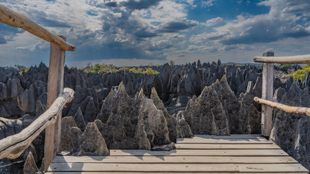 A viewing platform in the cliffs of Madagascar. Unpainted boardwalk, log railings. Karst rocks with steep furrowed slopes and sharp spiny peaks stretch to the horizon. blue sky,の写真素材