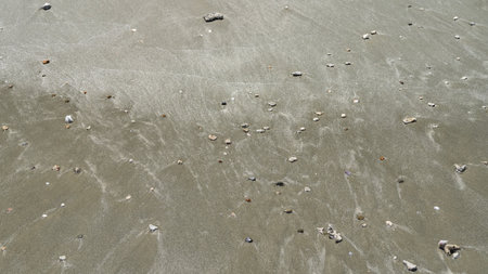 Wet sand on the ocean shore. Pebbles, coral fragments, and shells are scattered. There are traces of foam waves on the surface. Top view. Full screen.の写真素材