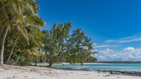 Beautiful tropical beach. White sand, black volcanic boulders by the turquoise ocean. Coconut palms and sprawling Casuarina cunninghamiana trees against a background of blue skyの写真素材