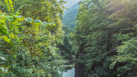 There is lush green vegetation on the steep mountain slopes. Leaves and branches in the foreground. Far below you can see the river pools, boulders in the water. China.の写真素材