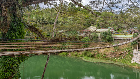 A rickety bamboo bridge spans over a tropical river. The weave of the path, the flimsy railing is...