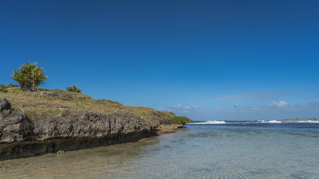 Rocky coast of a tropical island. Fan palm bushes grow on the slope, on the green grass. The bottom is visible through the clear water of the bay. The ocean waves are foamingの写真素材
