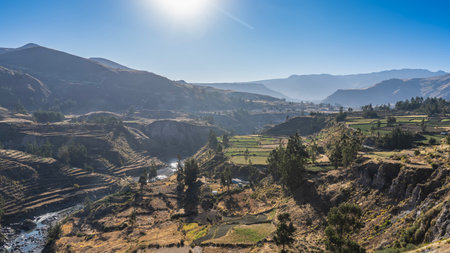 Beautiful high-altitude landscape. Panorama of Colca Canyon. Agricultural terraces on the mountain slopes, green vegetation. The river is in the gorge. The blue sky. A sunny dayの写真素材