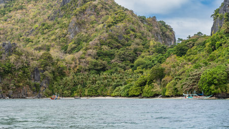 The beautiful tropical beach is visible from the ocean. White sand, thickets of palm trees, green...
