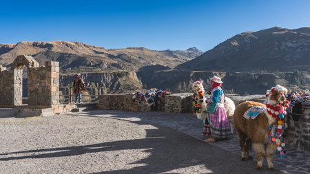 Beautifully dressed llamas and their owners on a high-altitude observation deck. The animals are...