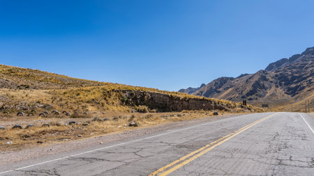 Highland highway. There is a double dividing line on the cracked asphalt. Dry, yellowed grass on the...