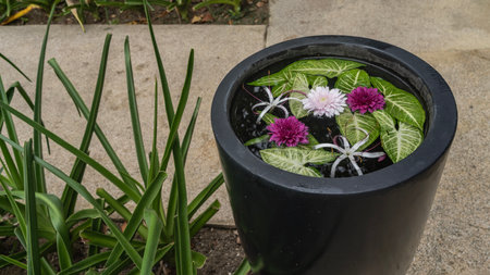 Decorative vase in a tropical park by the footpath. Lily, chrysanthemums flowers, and green leaves float on the surface of the water. Mauritius.の写真素材