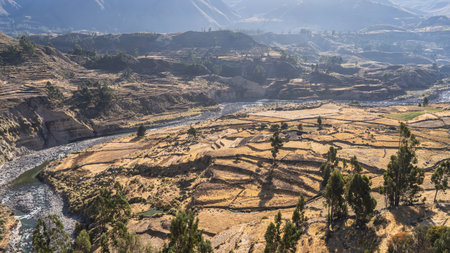 Beautiful high-altitude landscape. The river winds through the valley. Terraces of agricultural...