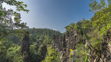 The picturesque landscape of the natural park. Sheer cliffs. Green tropical vegetation on the mountain slopes. Prickly pear cactus Opuntia in the foreground.The blue sky.の写真素材