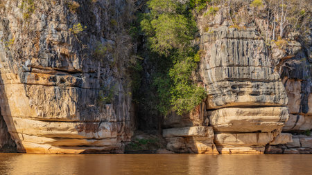 The eroded limestone banks of the African river. Green vegetation grows on the steep layered slopes...