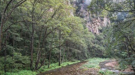 The stream flows through a picturesque area. Green grass, trees on the shore. A sheer mountain in...