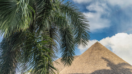 The crown of a royal palm tree Roystonea regia and triangular thatched roofs against a background of...