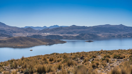 A beautiful alpine lake. Yellowed grass grows in tufts on the hilly shores. Mountains against a clear blue sky. Copy space. Peru. Lake Lagunillas. Andesの写真素材