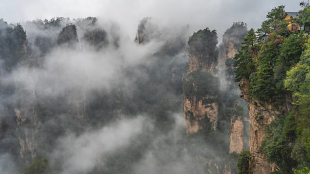 Mystical mountain landscape. The high cliffs pillars are shrouded in fog. Peaks in the clouds. Green vegetation on steep slopes. China. Zhangjiajie National Forest Park. Avatarの写真素材
