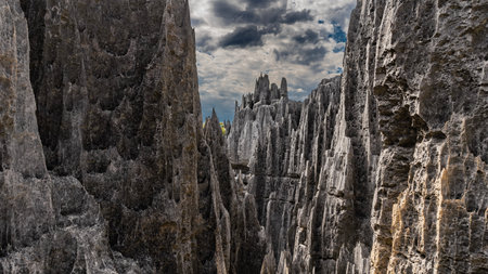 Unique karst rocks. Steep, furrowed gray slopes. Sharp spiky peaks. Blue sky, clouds. Madagascar. Tsingy De Bemarahaの写真素材