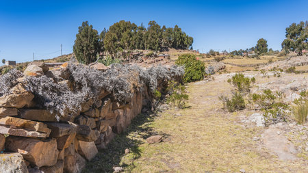An old stone wall on the hillside. Lichens, stunted bushes, grass on the soil. Rural buildings are visible in the distance. Trees against a clear blue sky. Peru. Taquile islandの写真素材