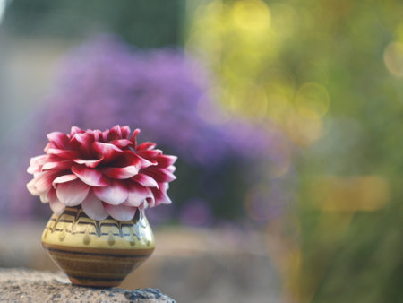 Bright unusual flower standing in a small vaseの写真素材