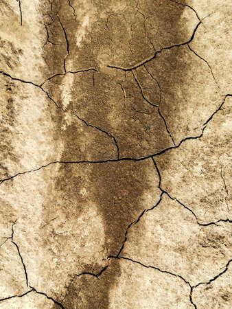 Cracks on dry ground. Textured brown natural backgroundの写真素材