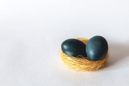 Two matte painted blue Easter eggs in a yellow nest on a gray background. Close-upの写真素材