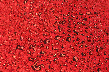 Red abstract background with different water drops with shadow close up. Interesting background for...