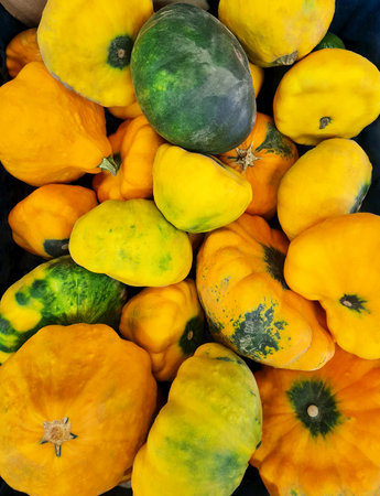 Background of different fresh pumpkins in orange, yellow and green, top view