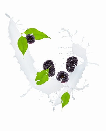 Blackberries in milk splash, isolated on white background の写真素材
