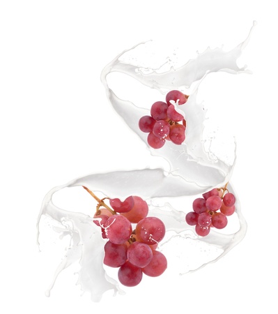 Grape in milk splash, isolated on white background の写真素材