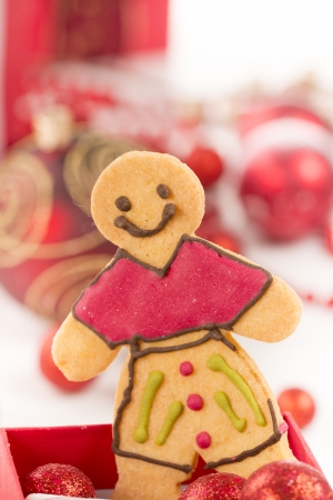 Gingerbread cookies and spicesの写真素材