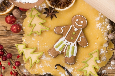 Gingerbread cookies and spices