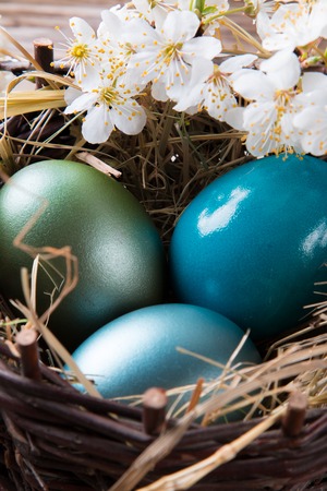 Blue easter eggs with flower on wood  Spring concepr の写真素材