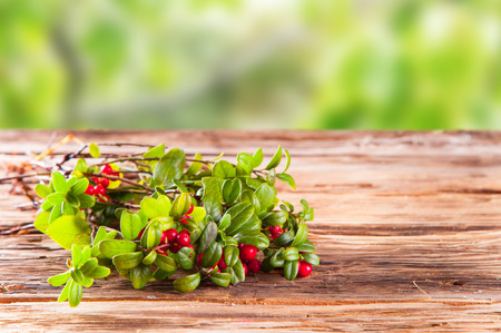 Cranberries on wooden table with nature green backgroundの写真素材