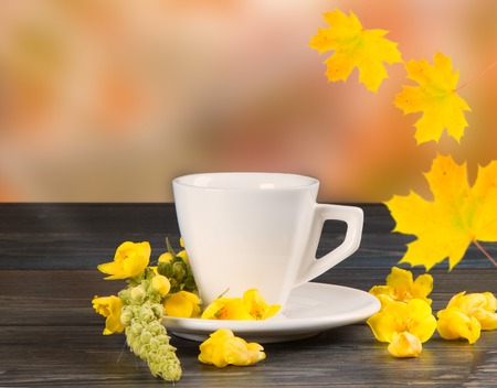 Autumn concept with seasonal fruits and vegetables on wooden table, garden