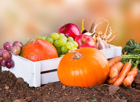 Fall fruit and vegetables, agriculture, Autumn nature concept.の写真素材