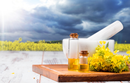 Rape oil and flower on wooden table with nature rape field backgroundの写真素材