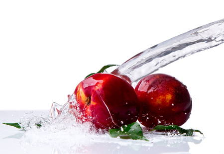 Fresh Nectarine, fruits falling in water splash, isolated on white backgroundの写真素材