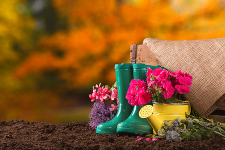 Garden tools with flower, pumpkin on wooden table. Autumn conceptの写真素材