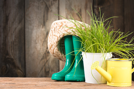 Garden tolls and spring seedling on wood and nature green background. Spring concept.の写真素材