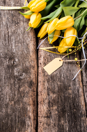 Spring tulips flower on wooden background. Tulip, gardening concept.の写真素材