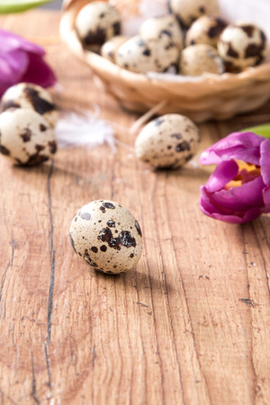 Easter eggs and flower on wooden table. Spring concept on plankの写真素材