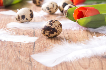 Easter eggs and flower on wooden table. Spring concept on plank.の写真素材